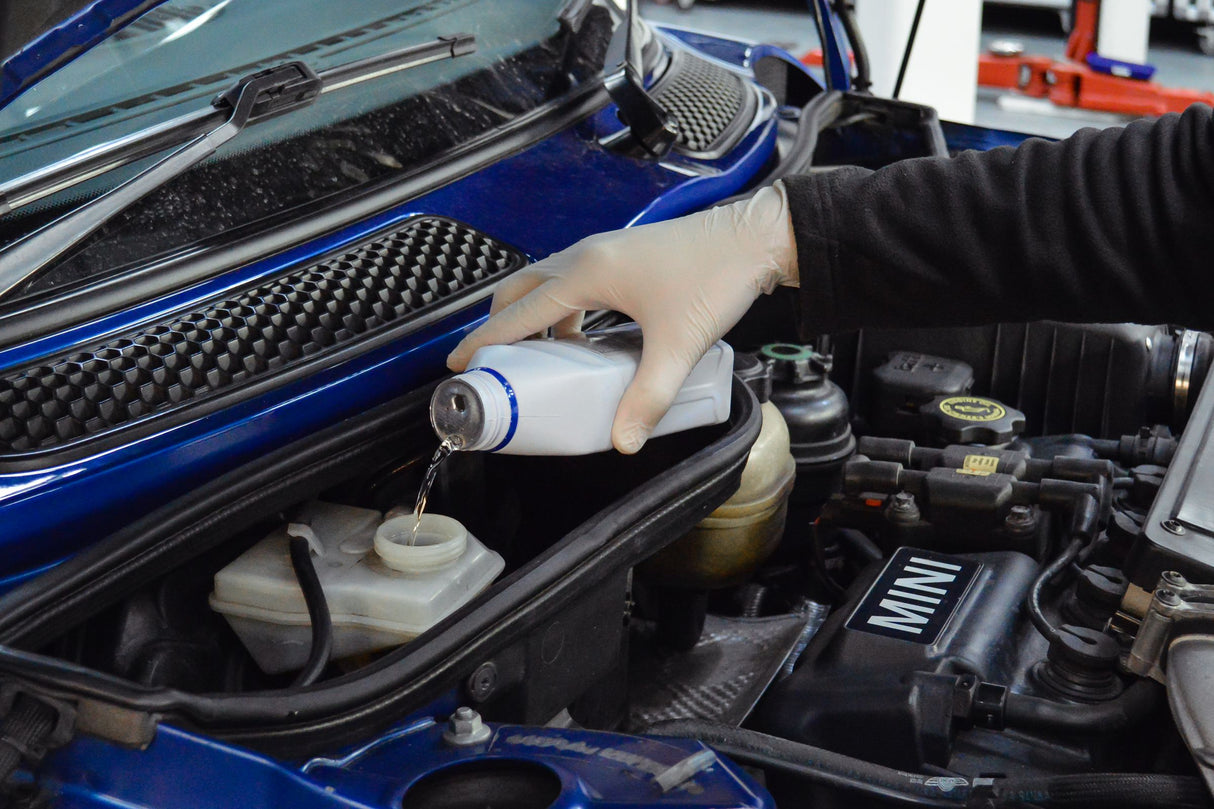 Lohen Performance Brake Fluid Change | Lohen MINI