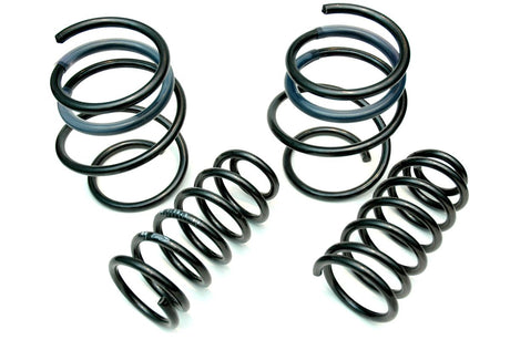 lohen-eibach-mini-lowering-springs.jpg