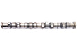 Newman Performance Camshaft for MINI R53 | Lohen MINI